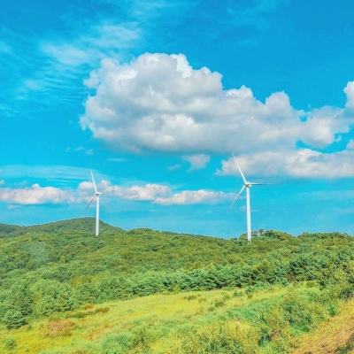 只狼无间狱满v版下载